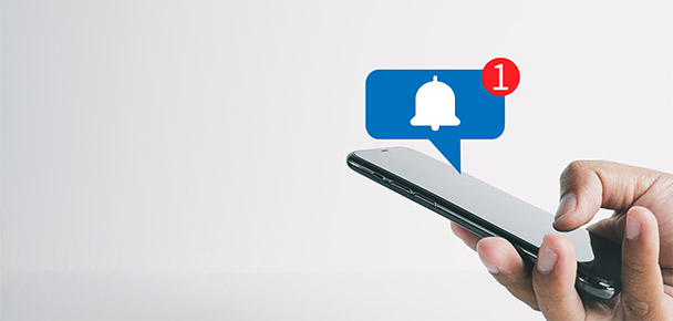 Ignoring alerts from regulators and depositories