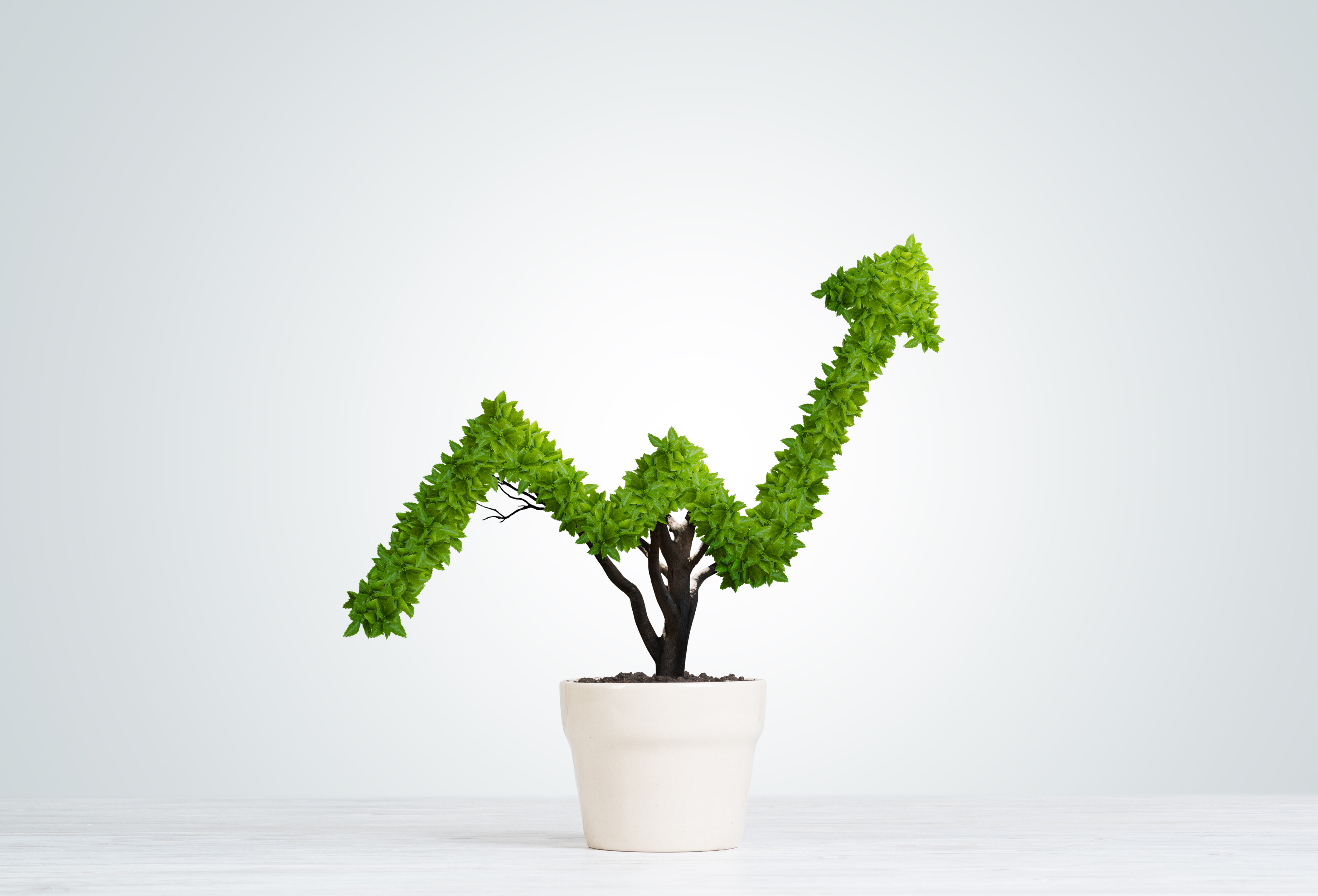 The Basics of Investing: Key Terms and Concepts